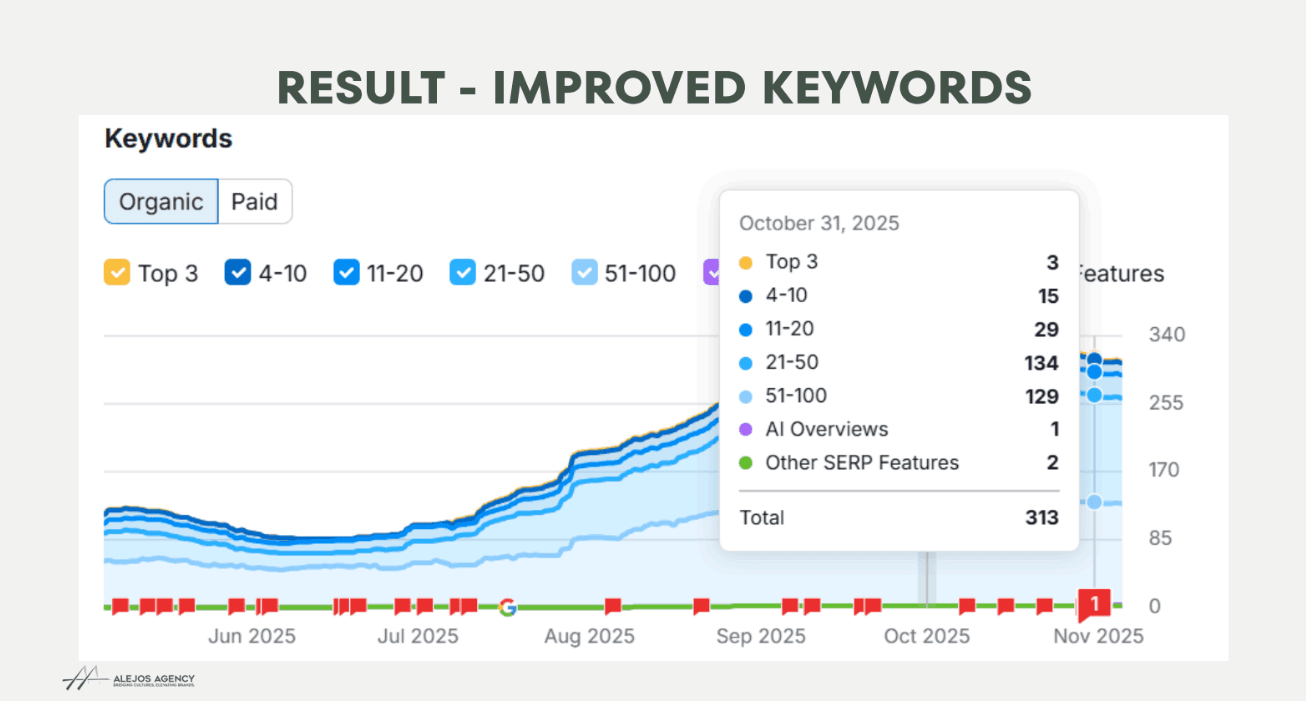 Alejos Agency organic keyword growth from 44 to 313 keywords — showing dramatic upward trend from Jun to Nov 2025